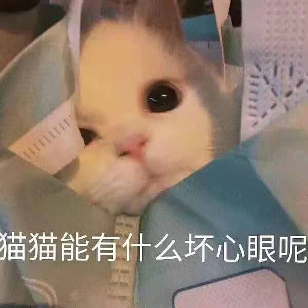 「默契问答」来啦！爱情友情基情大考验，你敢挑战吗？